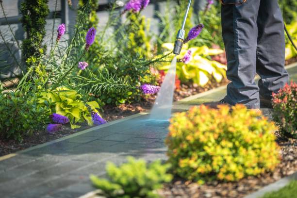 Best Winterizing Services  in Nanticoke, PA