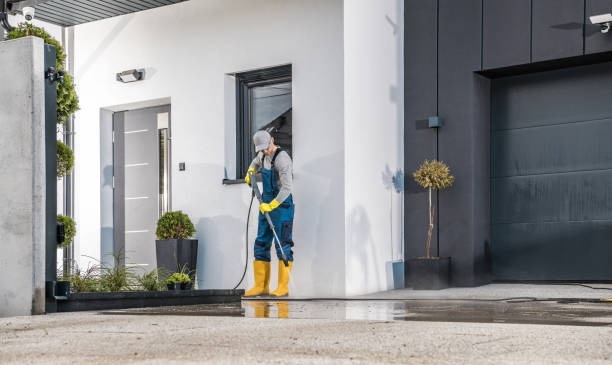 Best Graffiti Removal  in Nanticoke, PA